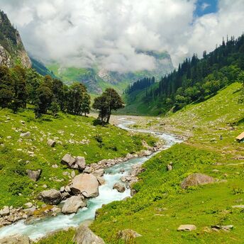 beautiful scenery of Himalayan Meadows, India