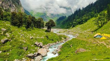 beautiful scenery of Himalayan Meadows, India
