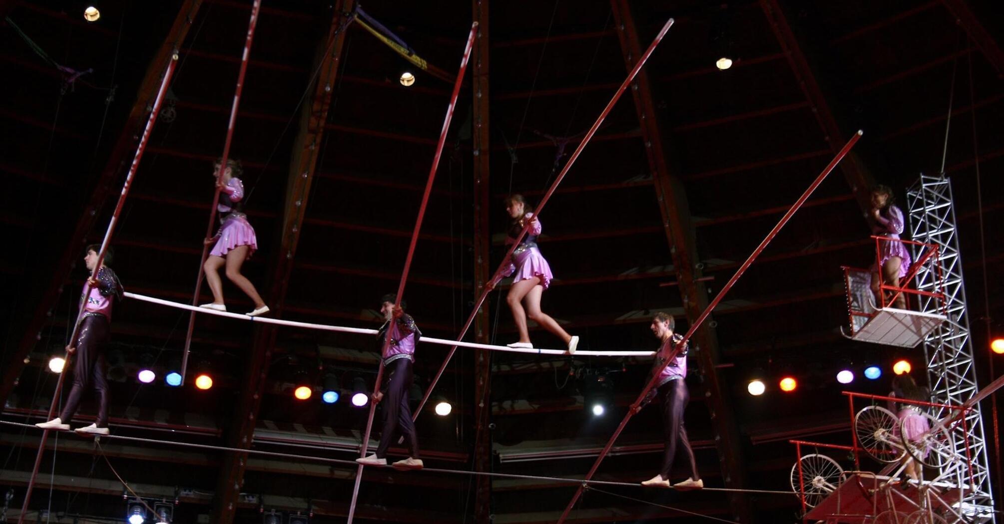 Acrobats perform a thrilling high-wire act
