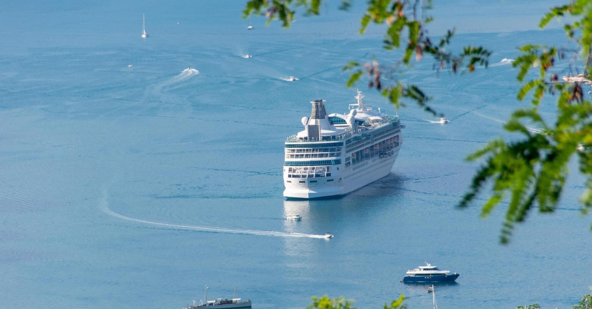 A large cruise ship sails through calm waters, surrounded by small yachts and boats