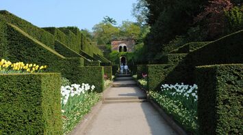 The Dahlia Walk at Biddulph Grange