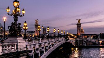 Parisian bridge during night time