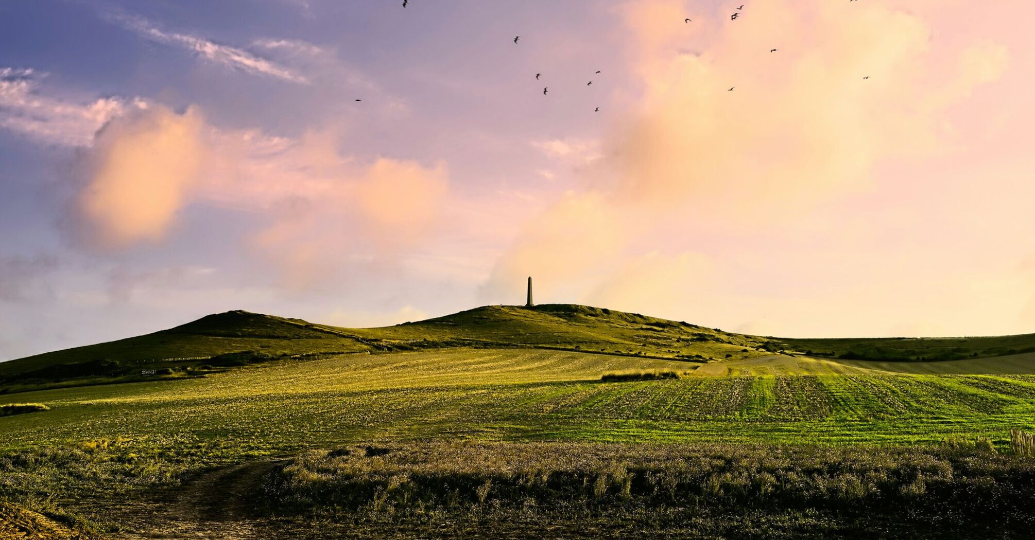 green fields under cloudy sky during daytime