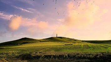 green fields under cloudy sky during daytime