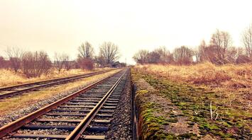 Railroad tracks and platform with moss, surrounded by trees