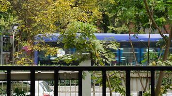 Blue bus passing by lush green and yellow trees in an urban park setting