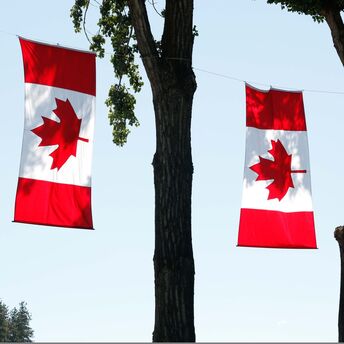 Two Canadian flags hanging between trees