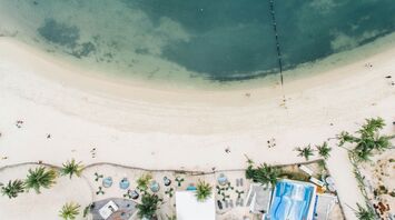 bird eyeview of seashore
