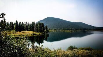 A serene lake surrounded by trees with a mountain in the background