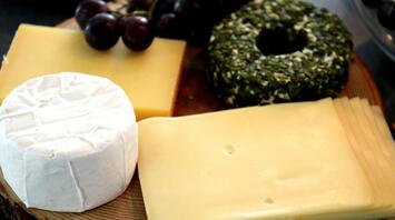 Round and rectangular cheeses, grapes, green herb cheese