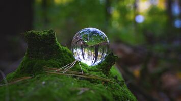 Glass ball reflecting forest scenery on mossy ground
