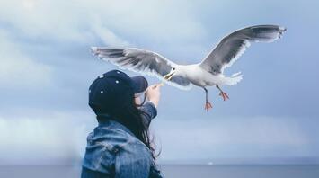 Feeding the seagull on the seashore