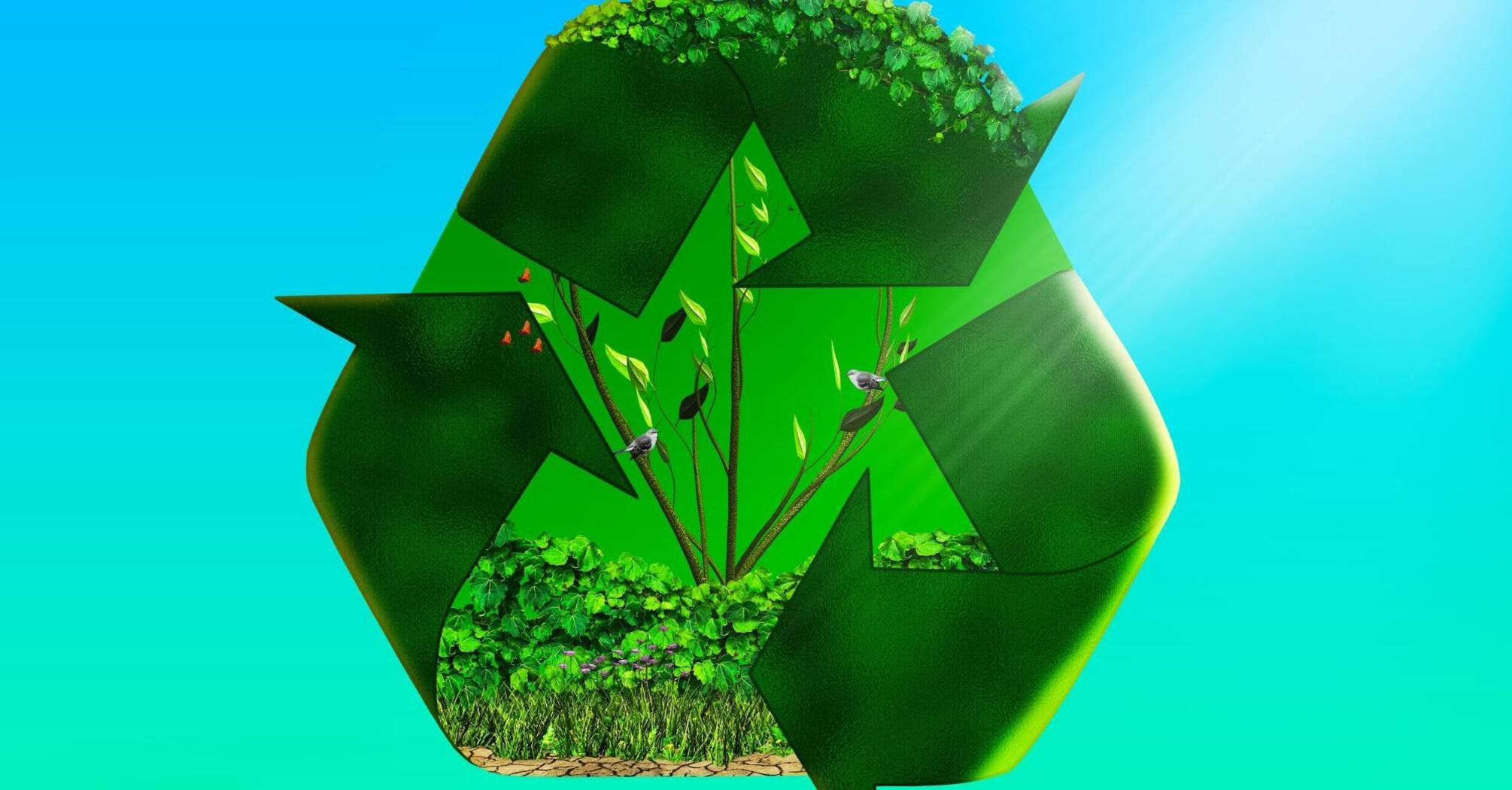 The recycling symbol filled with nature reflects the harmony of ecology and sustainable development