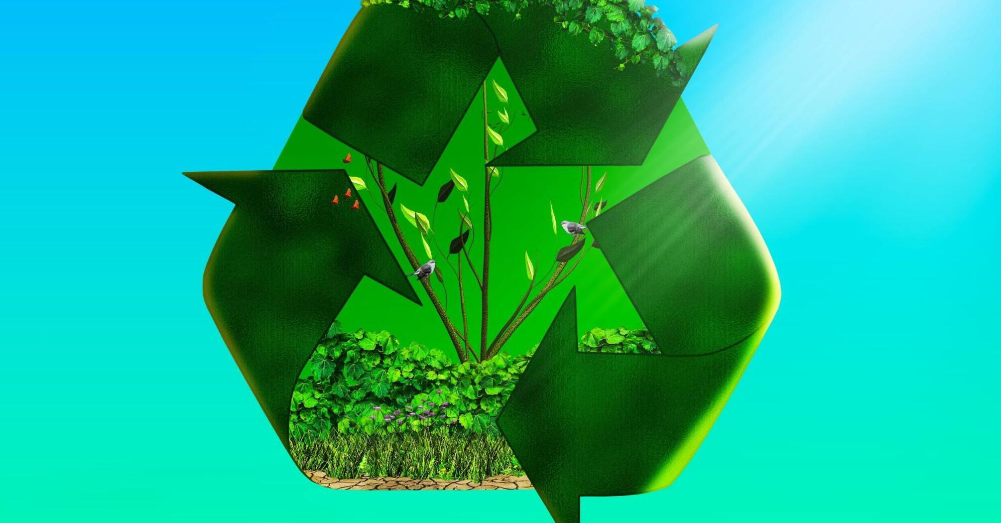 The recycling symbol filled with nature reflects the harmony of ecology and sustainable development