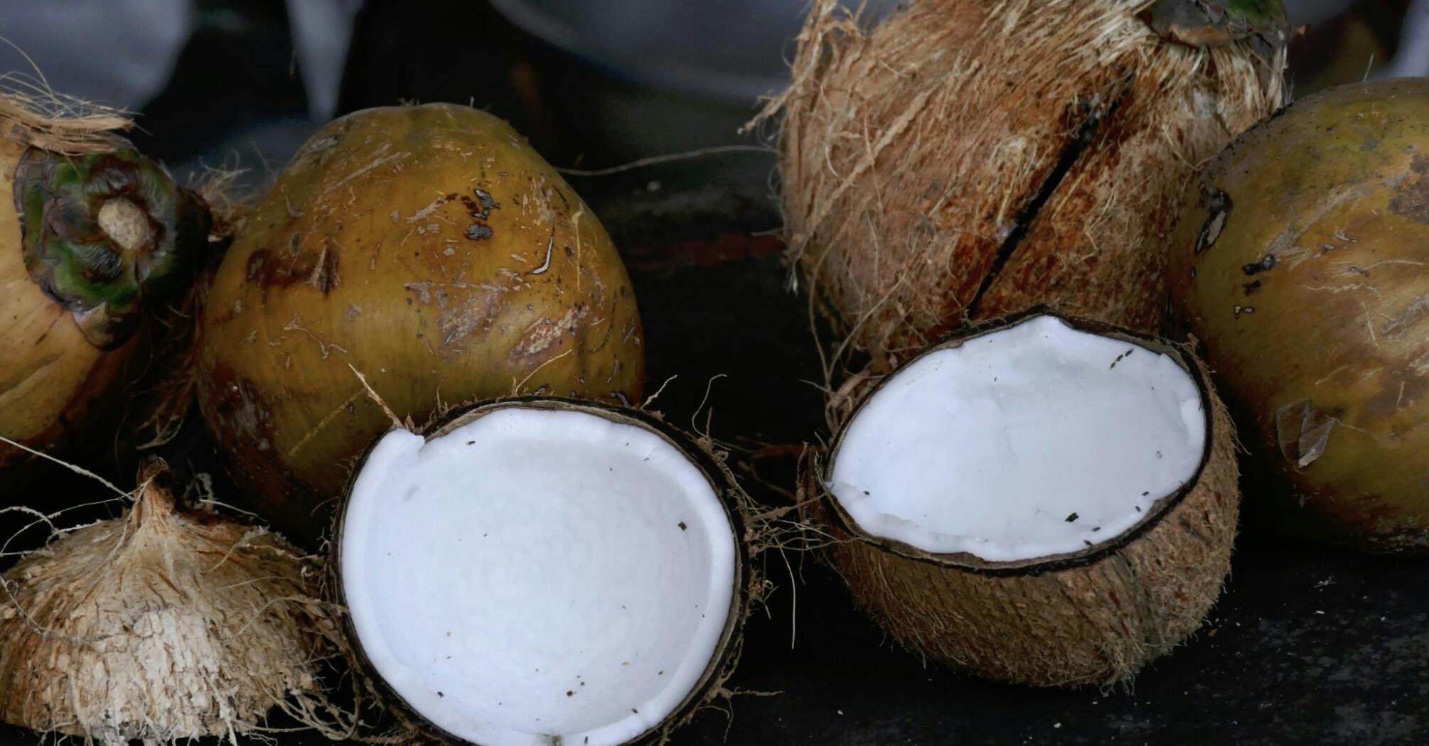 Coconut splitted in two parts