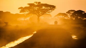 Sunset in the savannah with a jeep and acacia trees in the background