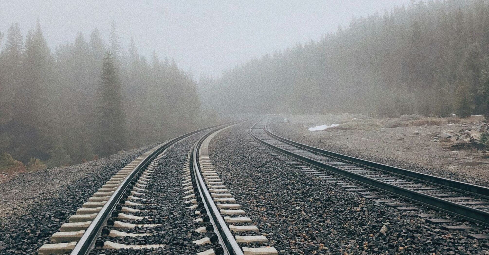 A foggy railway track curving through a forested area