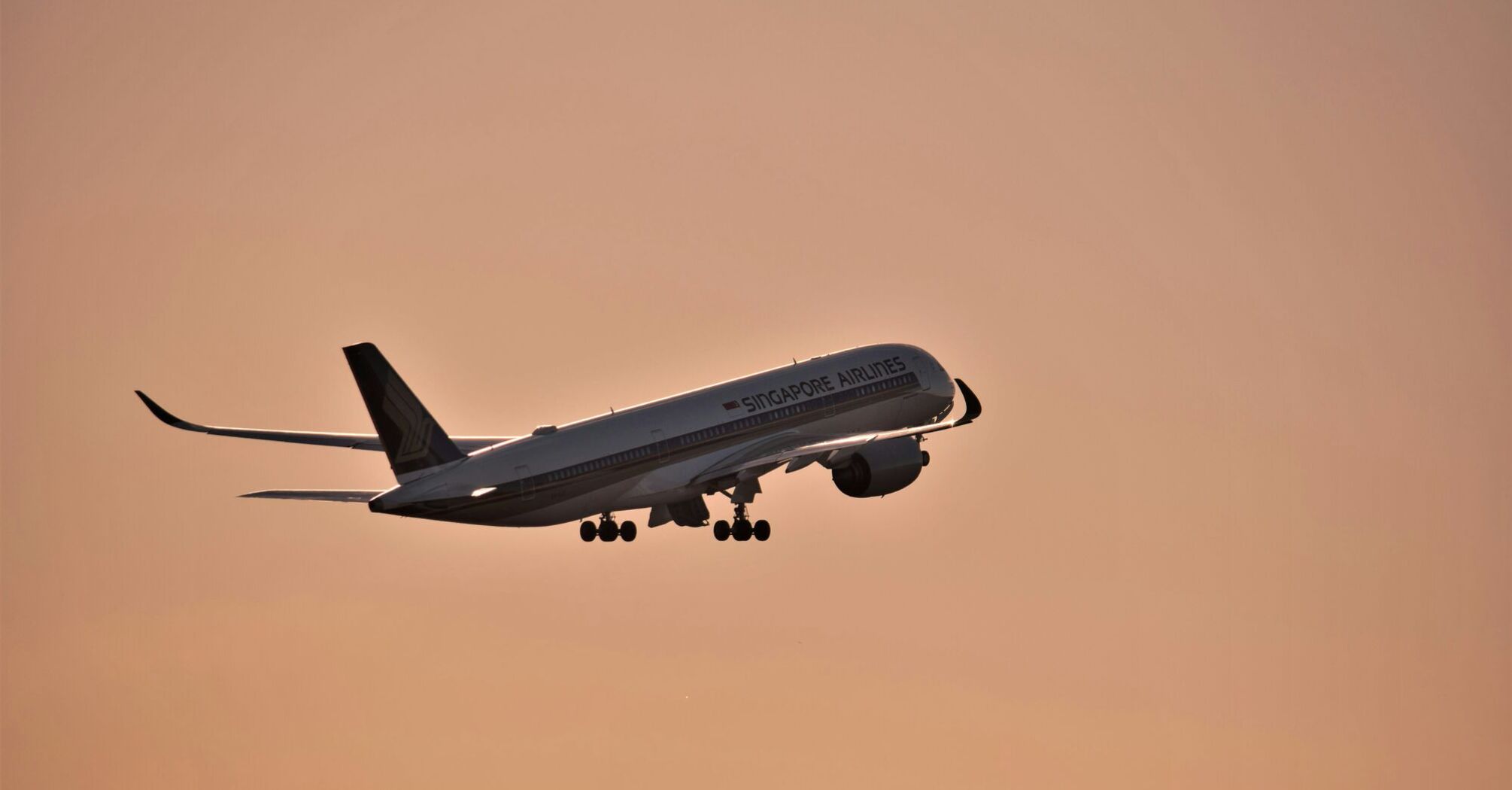 a large jetliner flying through a pink sky