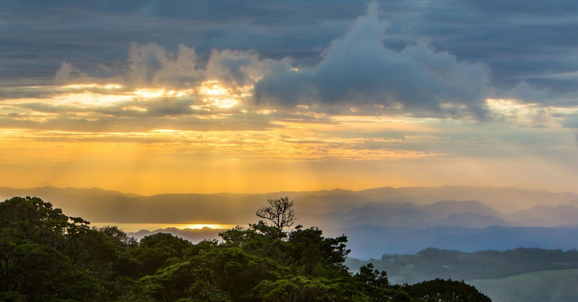 Puntarenas Province, Monteverde, Costa Rica