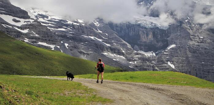A hiker with a dog walking along a mountain trail with snow-capped peaks and clouds in the background