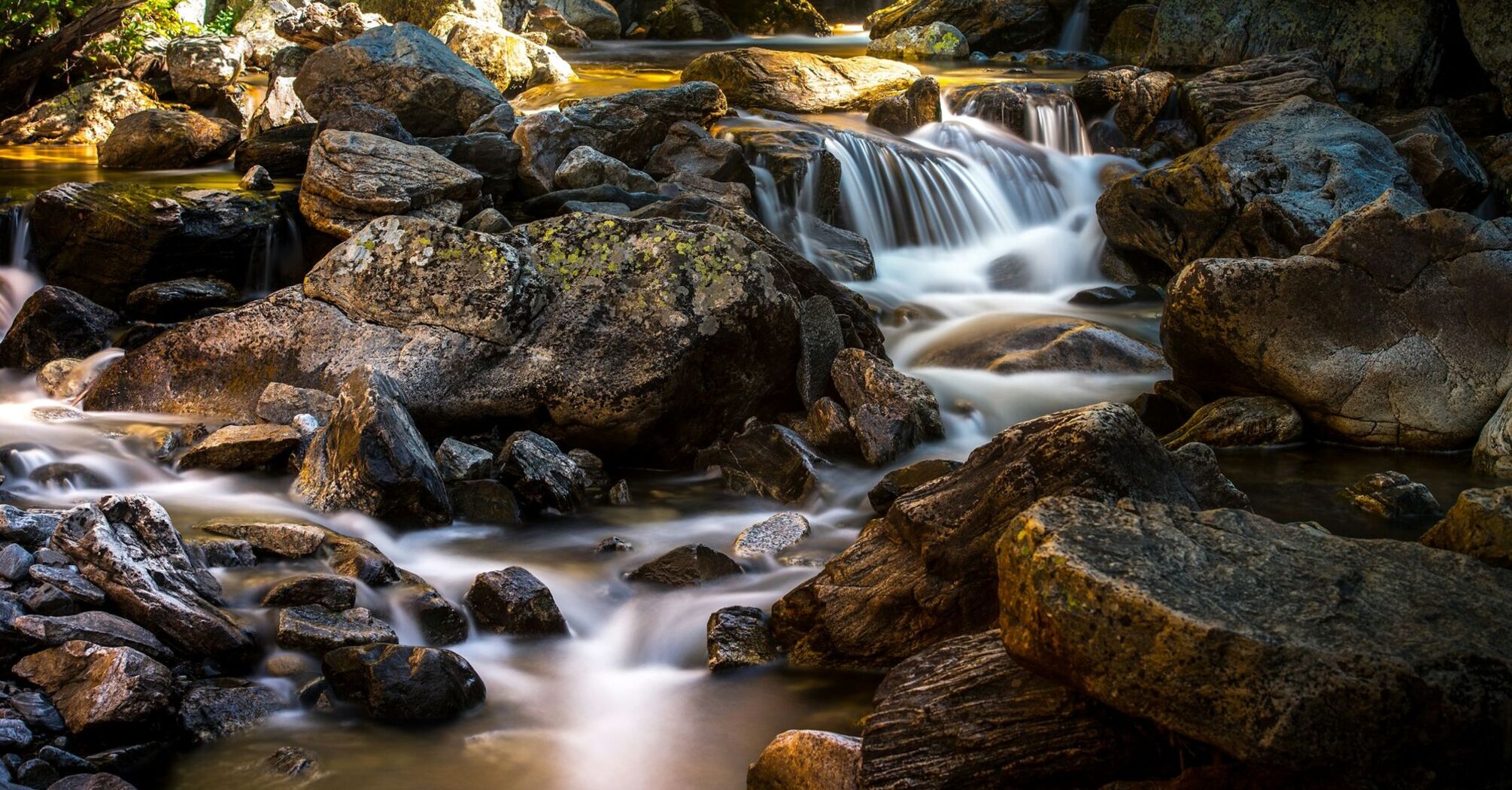 Stream flowing among rocks in a forest