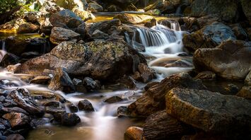Stream flowing among rocks in a forest