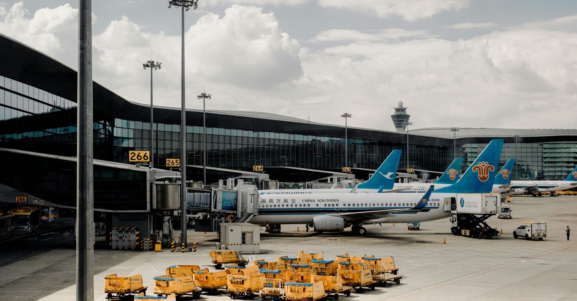 a group of airplanes parked at an airport