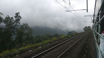 View from a train passing through misty, forested hills on a cloudy day