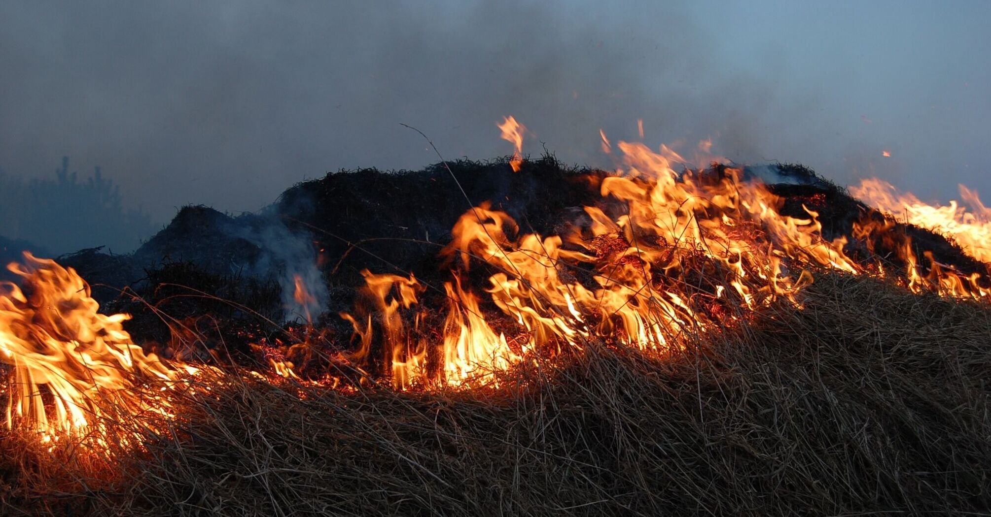 Wildfire burning through dry grass