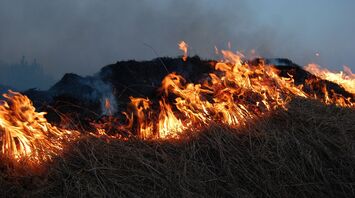 Wildfire burning through dry grass