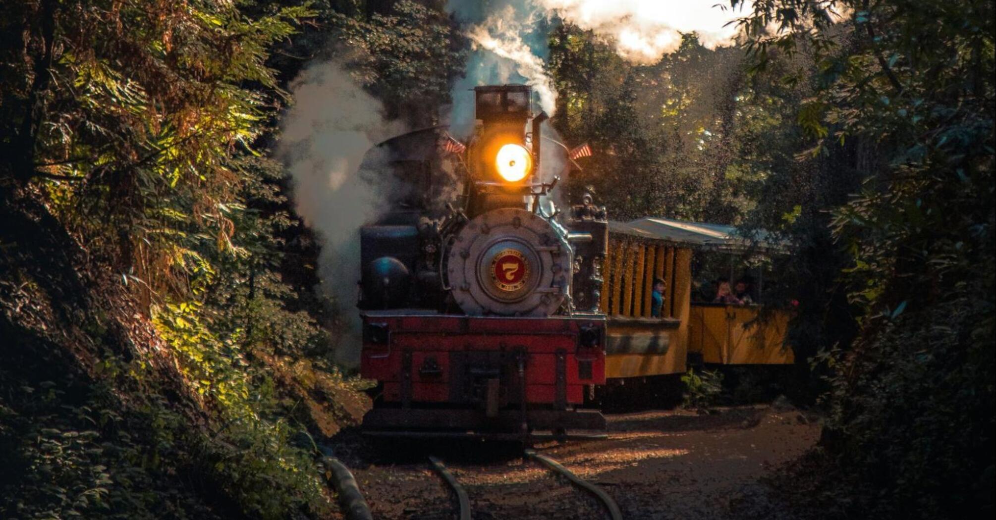 A vintage steam train with a red locomotive emerges from a dense forest, its headlight glowing and smoke billowing into the air 