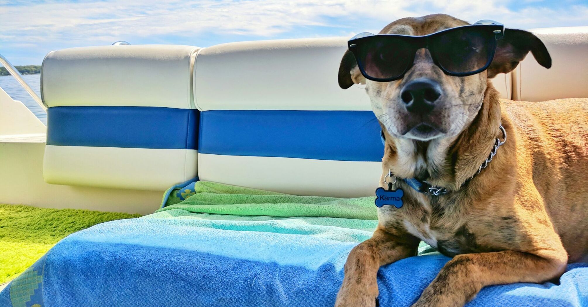 A dog wearing sunglasses relaxes on a boat under a clear blue sky