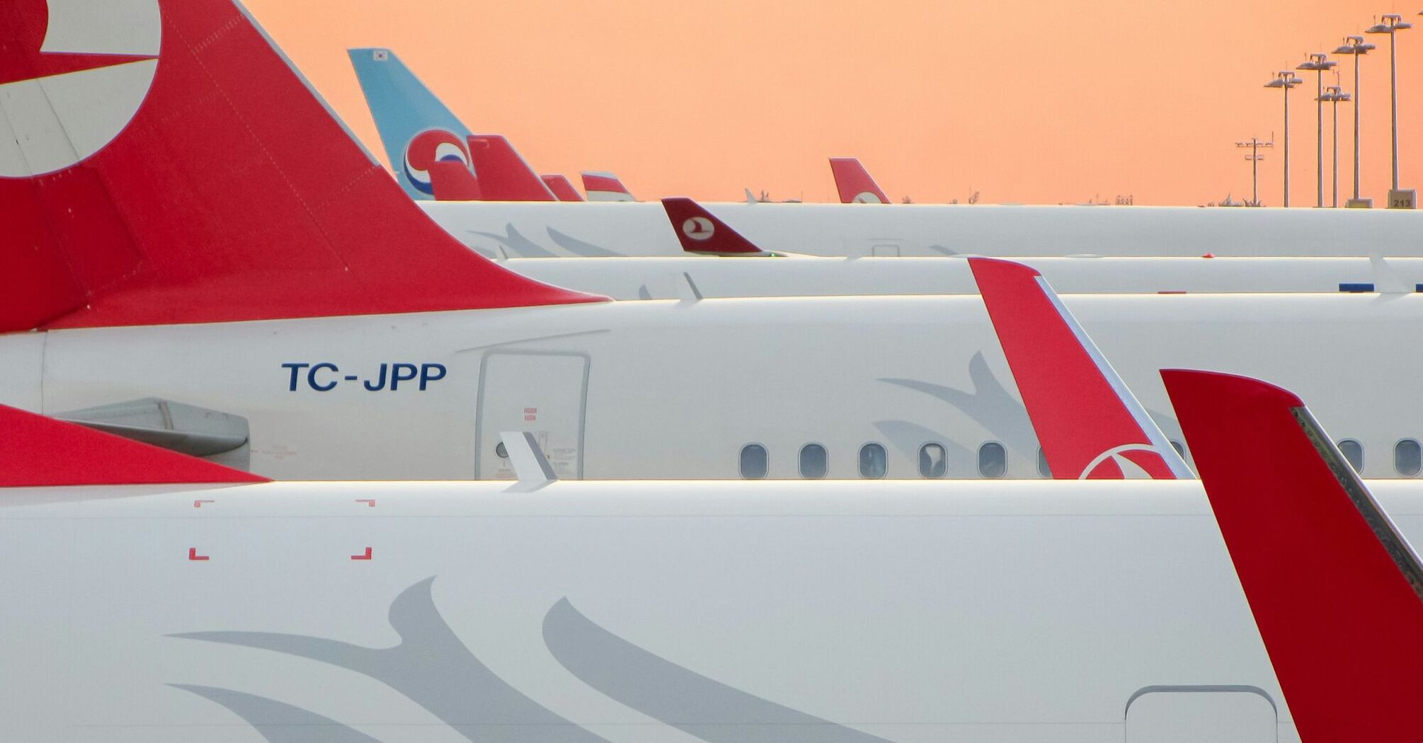 Close-up view of multiple Turkish Airlines planes parked at an airport