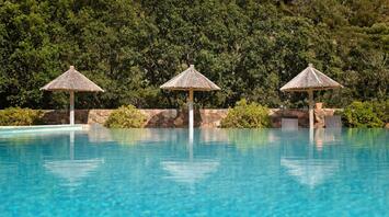 Three wooden umbrellas by a pool with a forest backdrop