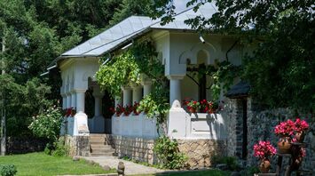A beautiful traditional Romanian house with white walls, shingled roof, and vibrant red flowers in pots on the porch
