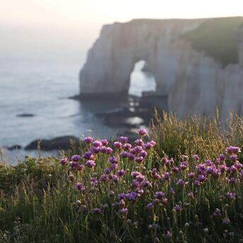 Discover 10 Serene Destinations in France Away from the Crowds