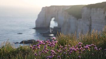 Discover 10 Serene Destinations in France Away from the Crowds