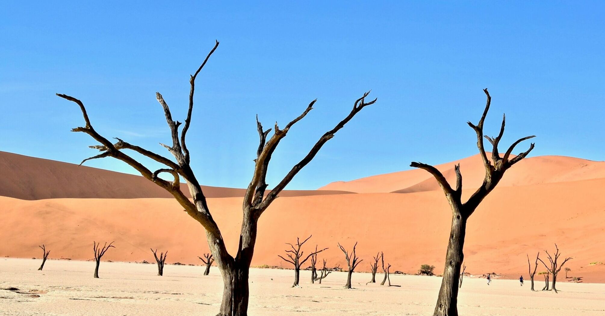 Dead Vlei, Sossusvlei, Namibia