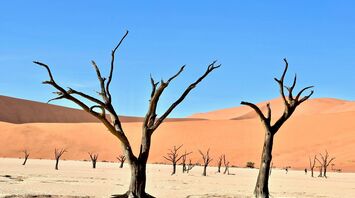 Dead Vlei, Sossusvlei, Namibia