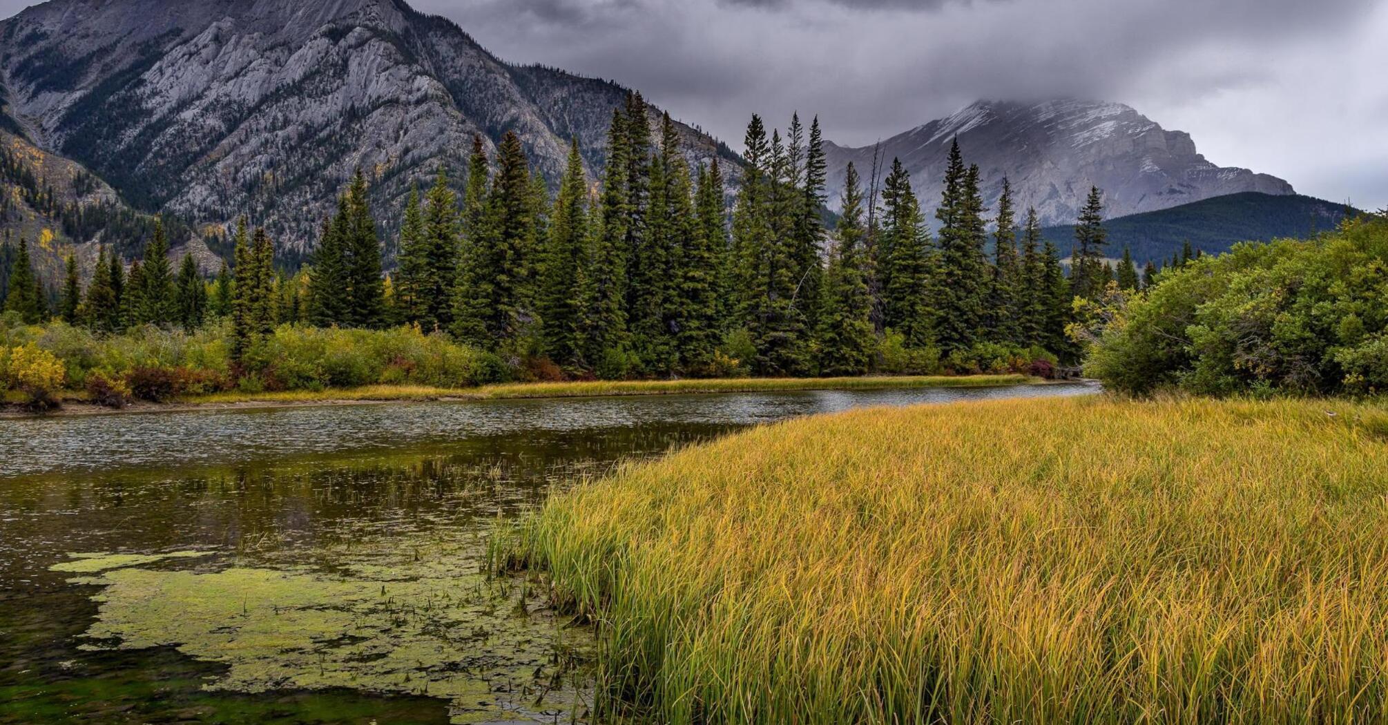 A serene mountain landscape with a lush green riverbank under a cloudy sky