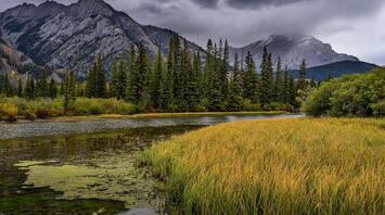 A serene mountain landscape with a lush green riverbank under a cloudy sky