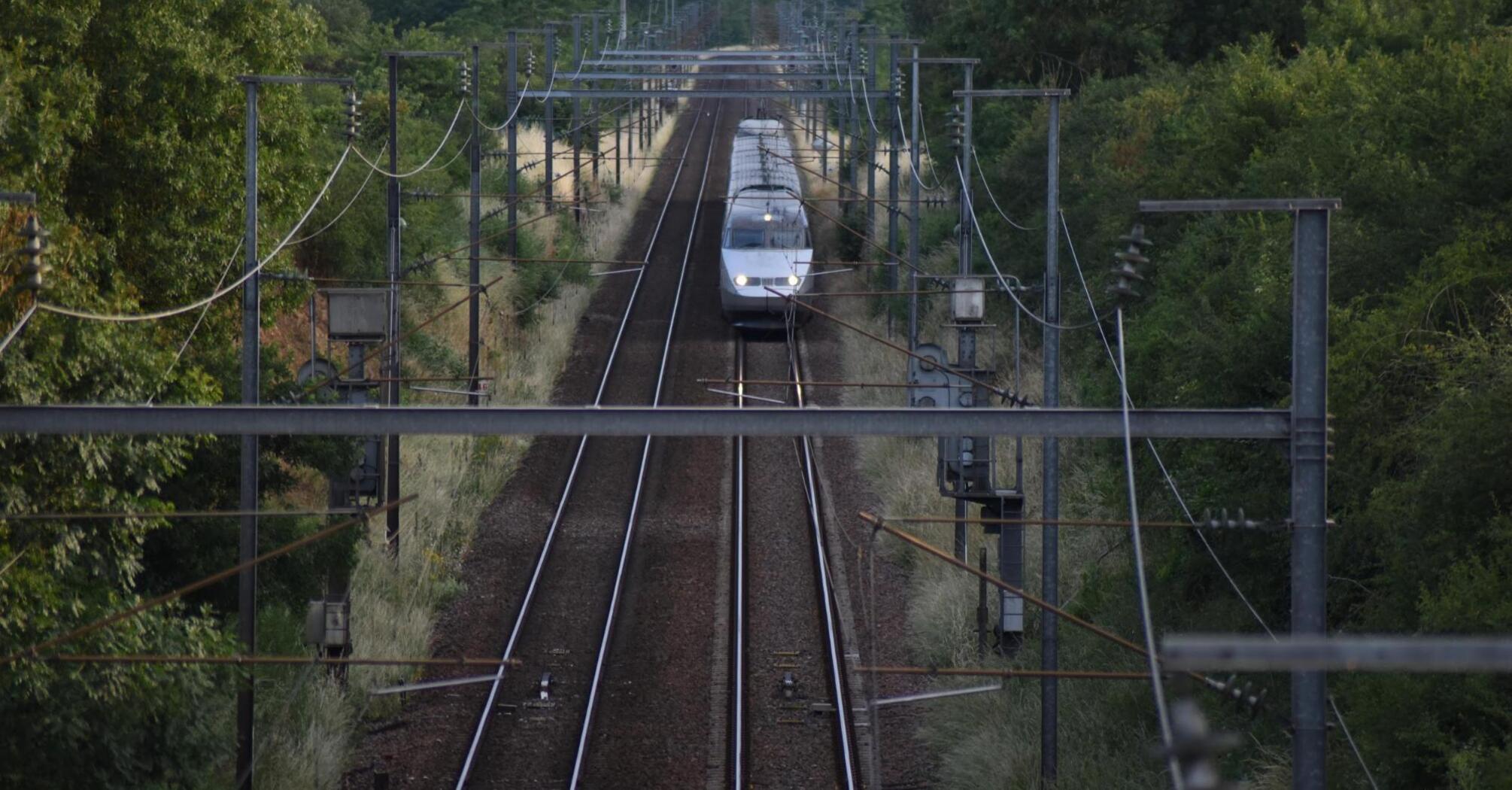 High-speed train moving on electrified railway tracks surrounded by greenery