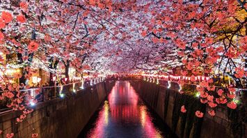 Meguro River, Matsuno, Japan