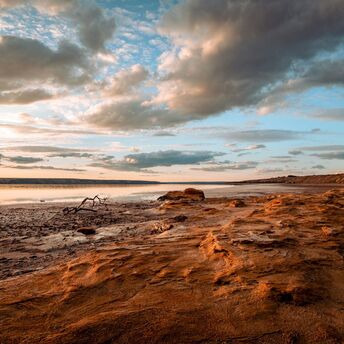 A dried-up lakeshore under a cloudy sky at sunset