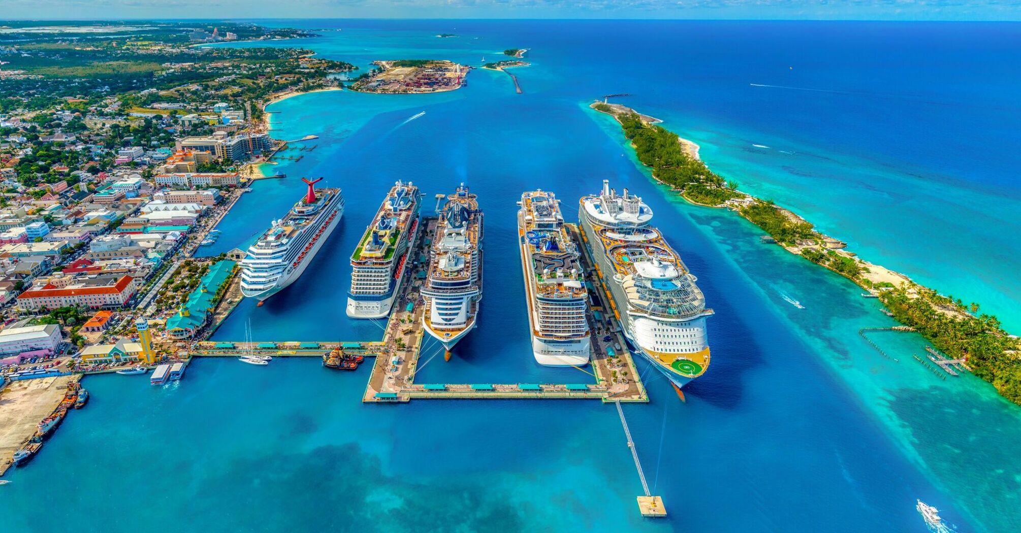 Cruise ships docked at a vibrant tropical port