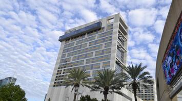 Hilton hotel building under a partly cloudy sky flanked by palm trees