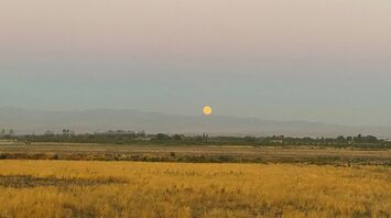 Tashkent, Tashkent, Uzbekistan