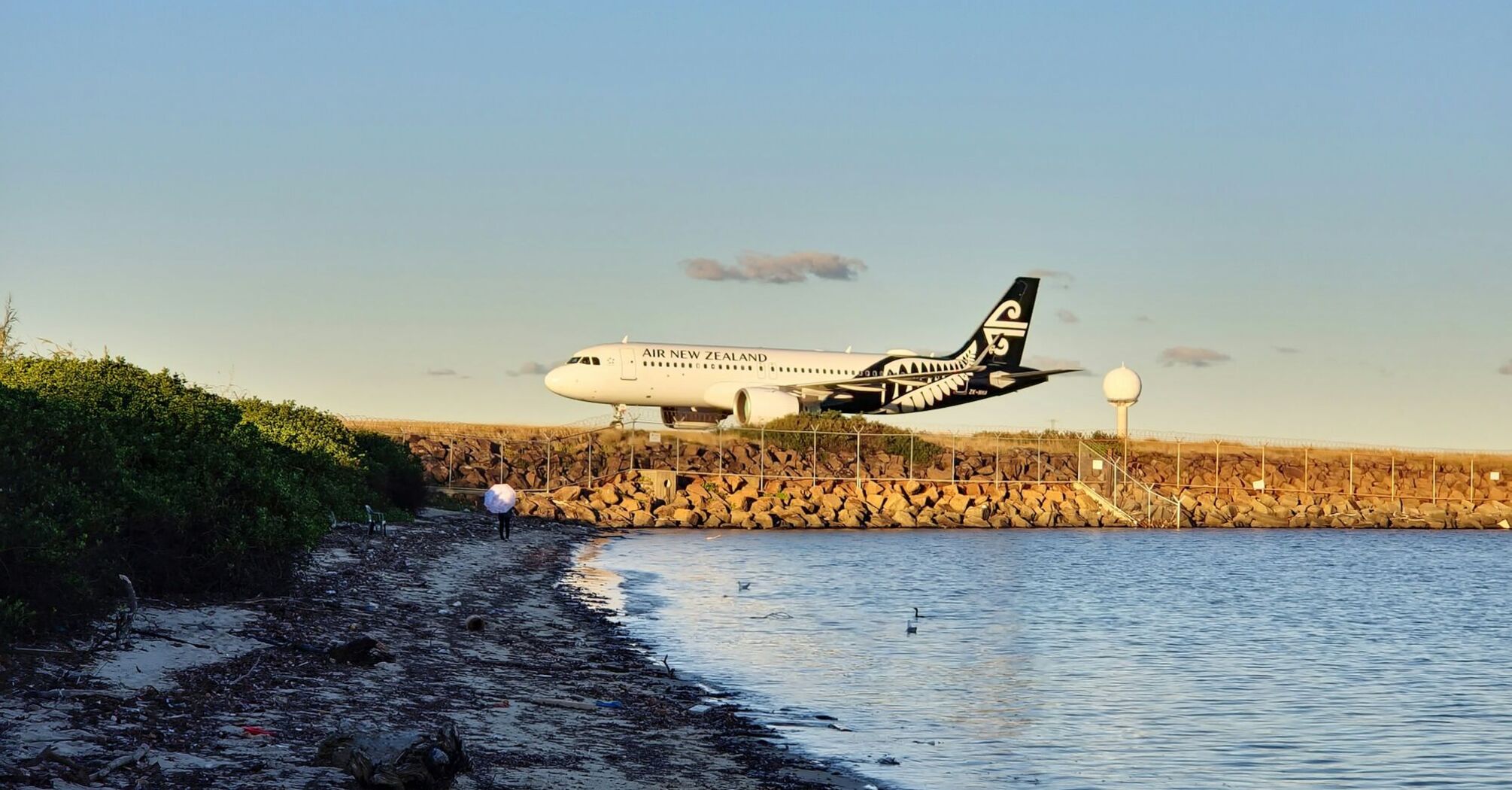 Air New Zealand airplane landing near a coastal area with a person walking along the shoreline