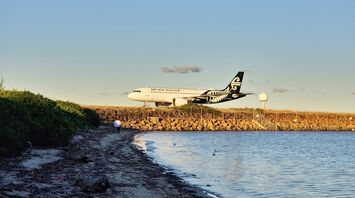 Air New Zealand airplane landing near a coastal area with a person walking along the shoreline