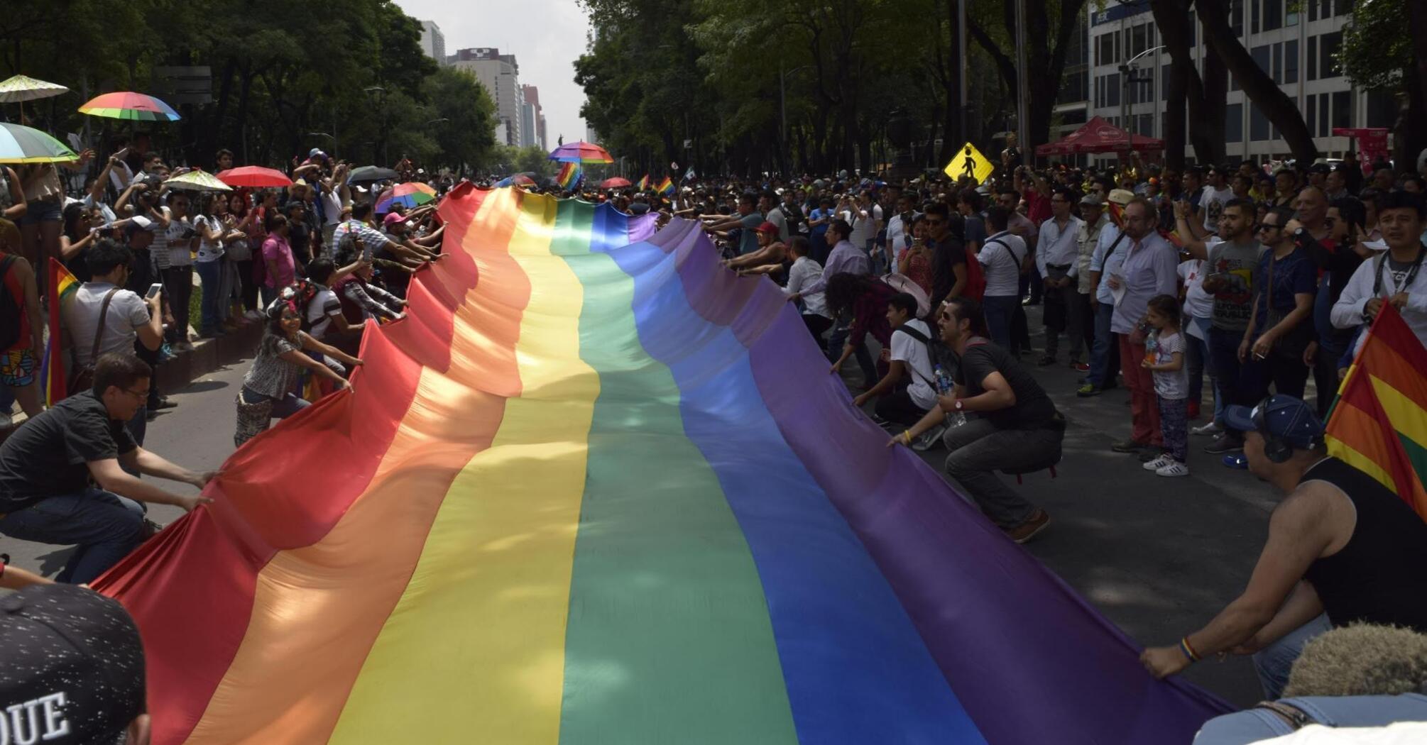 Participants holding a large rainbow flag at a pride parade in a tree-lined urban street